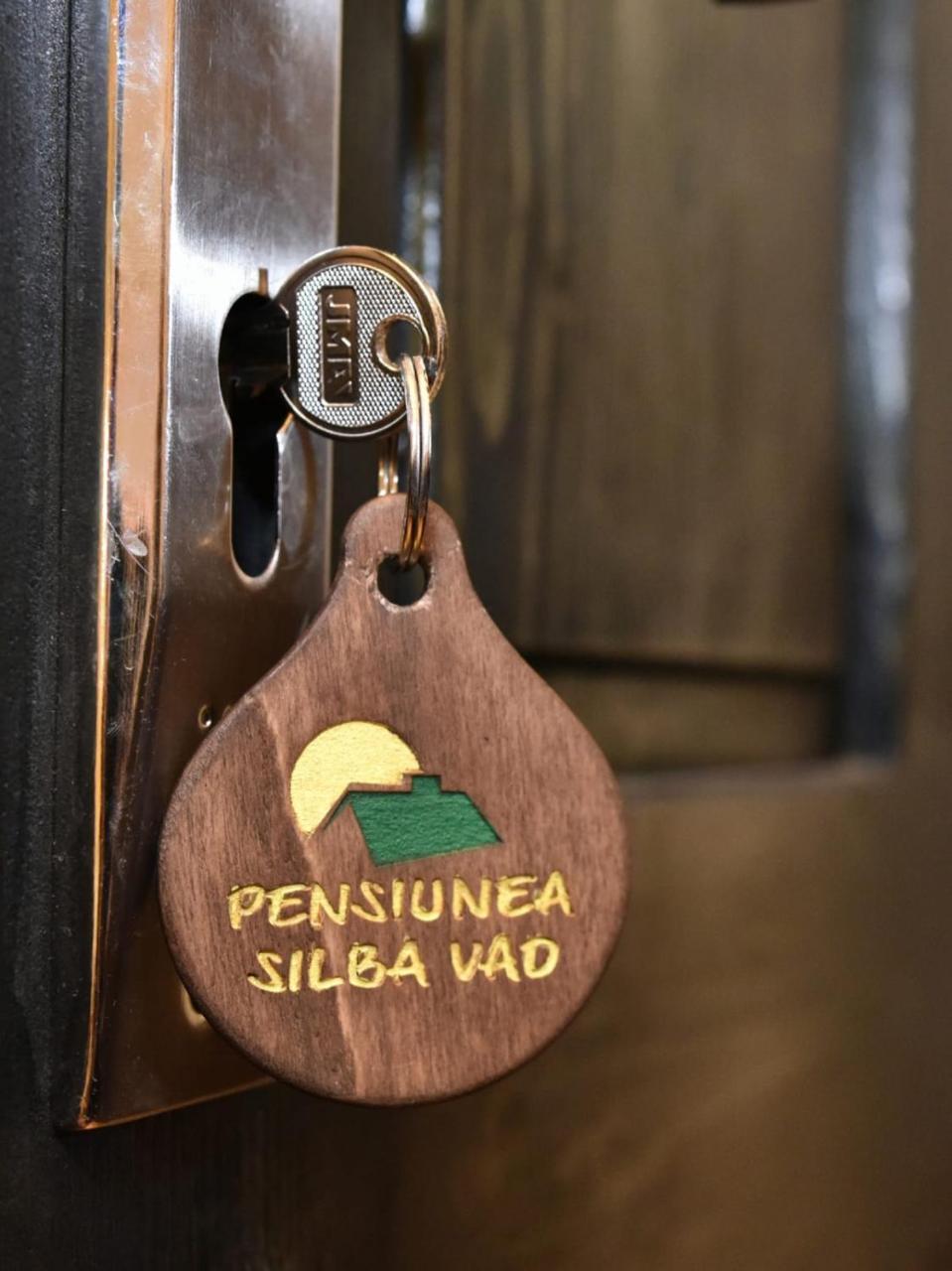 Pensiunea Silba Vad  Ngoại thất bức ảnh